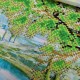 NW-216 Несе Галя воду. Набір з бісером