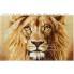 Схема для вишивки бісером “Величний лев”