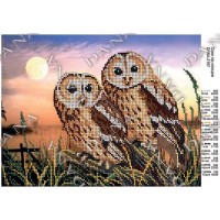 Схема для вишивки бісером "Сови під місяцем"
