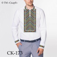 Заготовка чоловічої сорочки під вишивку "Гра кольорів"
