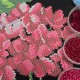 Еко-сумка під вишивку "Блакитно-рожева гортензія" СК-3170-3