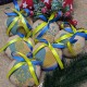 Набір новорічних прикрас "Патріотичні сердечка" (варіант 2) СК-4591-2