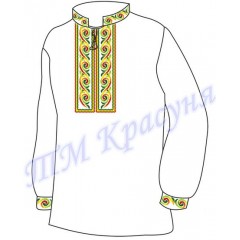 Заготовка чоловічої вишиванки "Дивний орнамент"